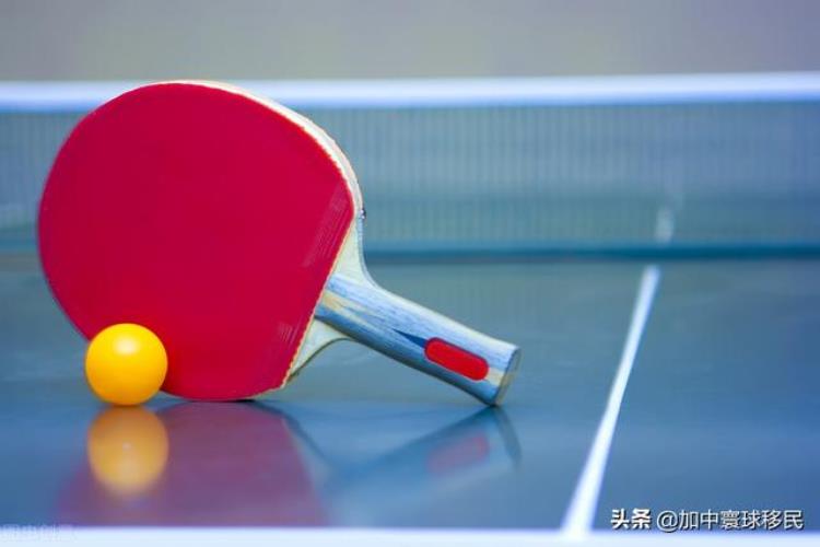 喜讯加中寰球自雇移民客户C先生乒乓球教练免面试获批