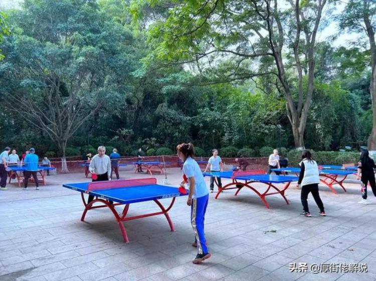 免费快来厚街这个公园增设了乒乓球健身区