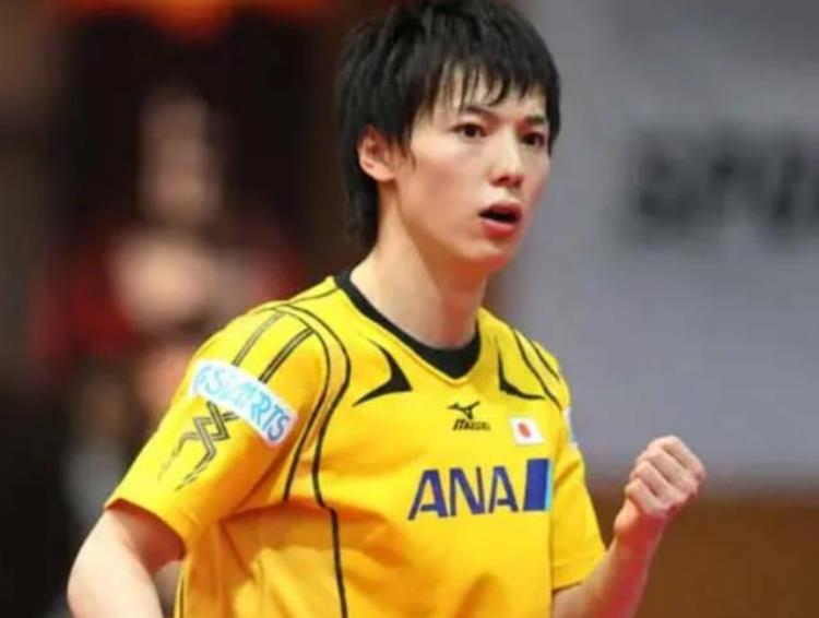 日本乒乓球员松平健太「被寄予厚望的日本乒乓天才松平健太的人生路」