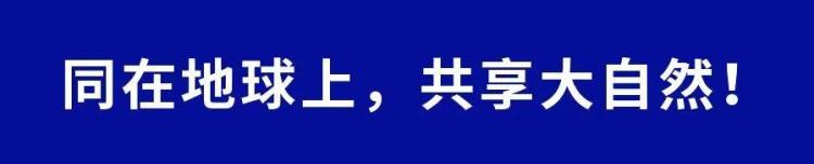 丹灶乒乓球协会「乒出精彩丹灶职工乒乓球混合团体赛开赛精彩瞬间回顾→」