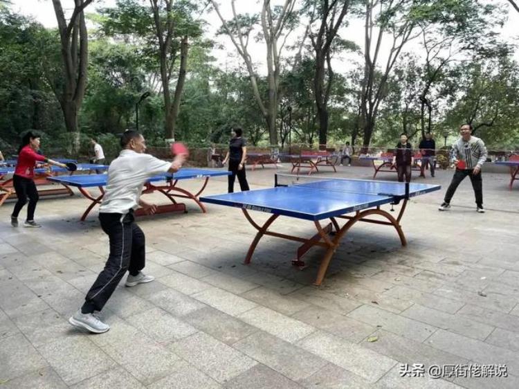 厚街体育公园乒乓球,广州永泰乒乓球公园
