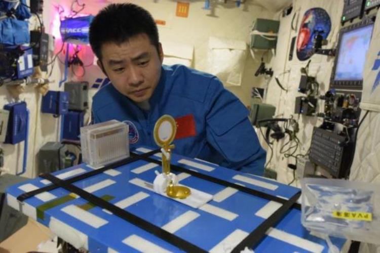 突破200天中国人的太空新纪录在线观看「突破200天中国人的太空新纪录」