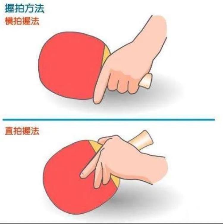 乒乓球拍的正确握姿,乒乓球横握拍标准姿势