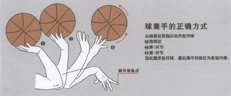 最新一期标准投篮动作分享会「最新一期标准投篮动作分享」