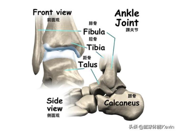 锻炼踝关节的方法「六种踝关节训练方法为你的篮球生涯提供支撑」