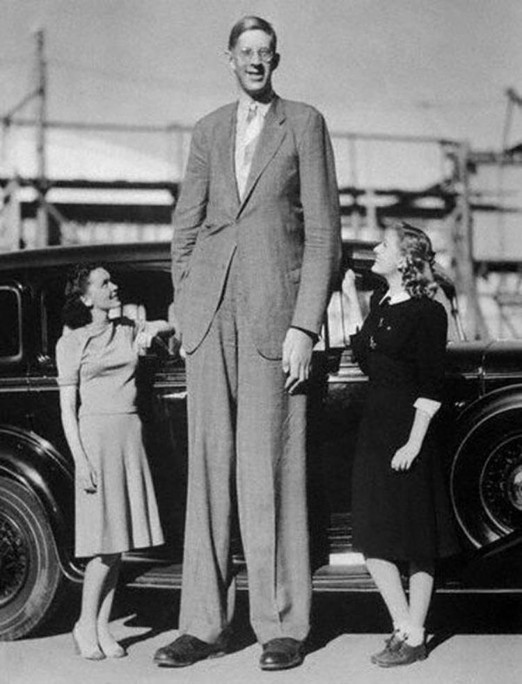 罗伯特巨人比姚明高「NBA十大巨人姚明仅第52米31中锋世界第73人类第一巨人2米72」