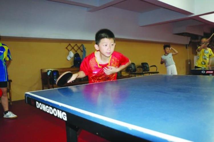 我与乒乓球的故事韩承岳在乒乓球运动中锻炼成长