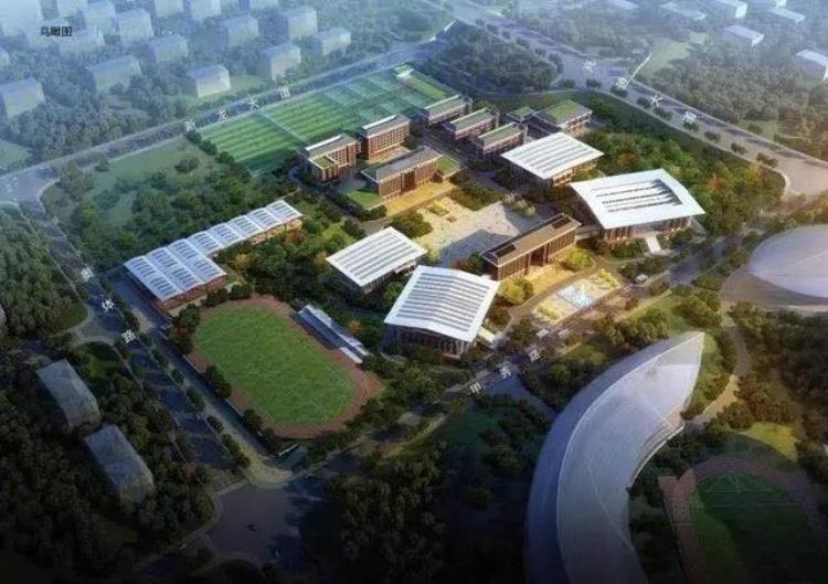 中国足球西南分院招生「中国足球运动学院西南分院面向全国招聘高水平足球青训教练」