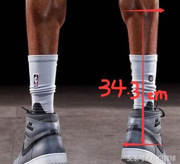 NBA跟腱最长「NBA历史跟腱长度前六都有谁卡特28厘米第六第一竟为343厘米」