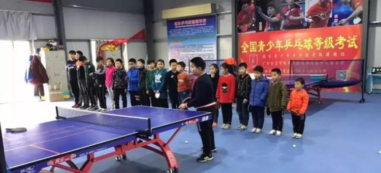 山东省争当全国乒乓球等级考试排头兵仅一周通过考级超千级