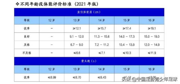 少年儿童篮球运动能力等级评定标准「中国男子青少年球员运动能力阶段性评价标准/1216岁年龄段2021版」
