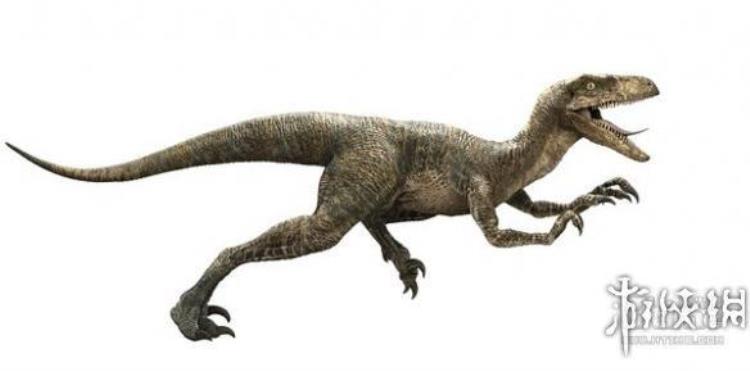 侏罗纪世界游戏原角鼻龙「侏罗纪世界恐龙百科图鉴掠食者沧龙微角龙都能认识吗」