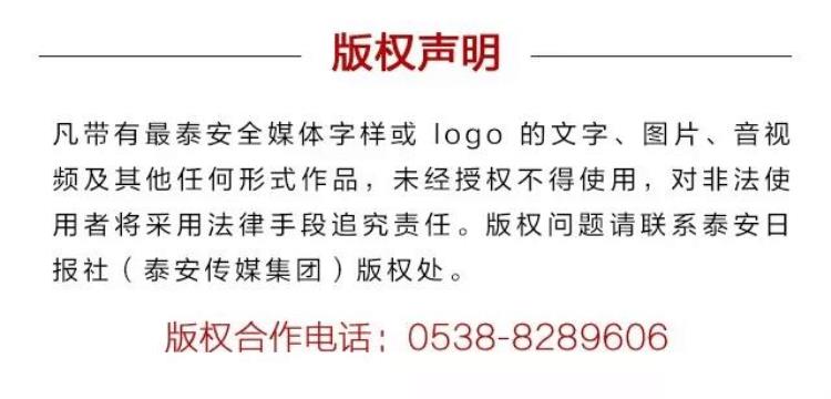 山东泰山队新队徽「泰山队官宣使用新版队徽国家电网中国绿发送双冠祝贺」