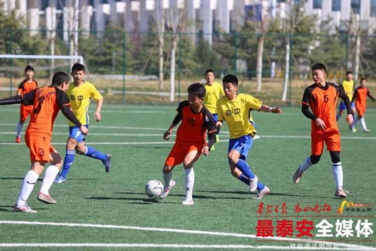 君悦山杯2019泰山足球小将校园冠军赛开赛全市528名足球小将激战生态绿地健身活动公园