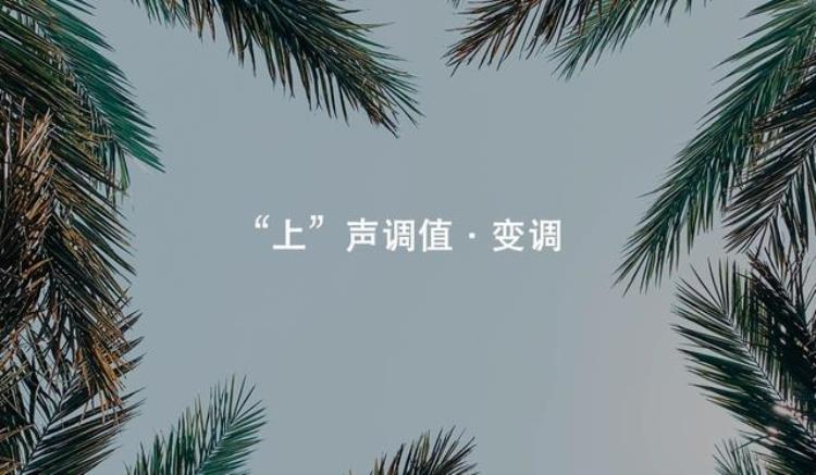 普通话发音问题有哪些「普通话发音|上声问题难倒80的人你读对了吗」