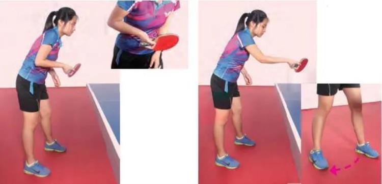 乒乓球快速入门基础牢固6种基础接法手臂力量训练法国球汇