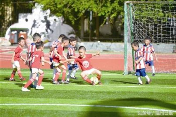 足球比赛 儿童「五彩足球青少年儿童足球对抗赛上演80多名小球员享受快乐足球」