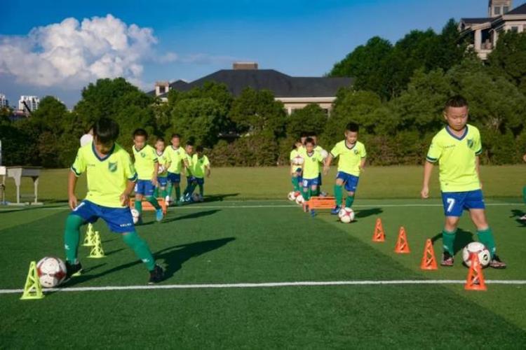 省足协换届到2035年让100万浙江青少年参与足球训练