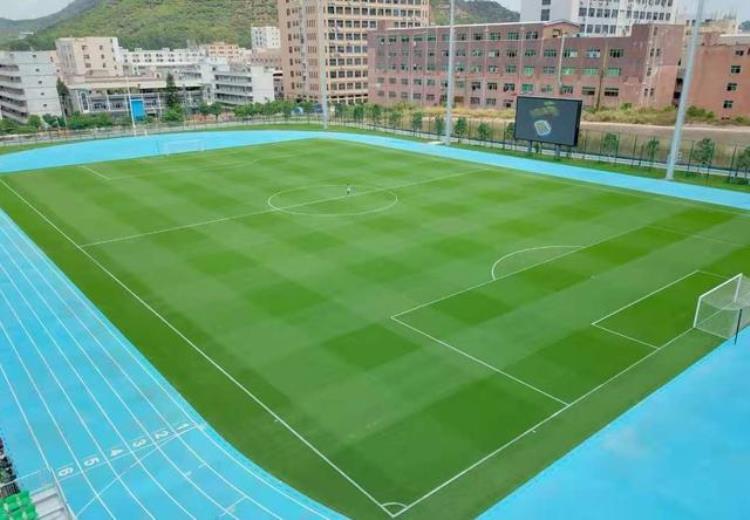 深圳足球学校,足球运动员青训梯队