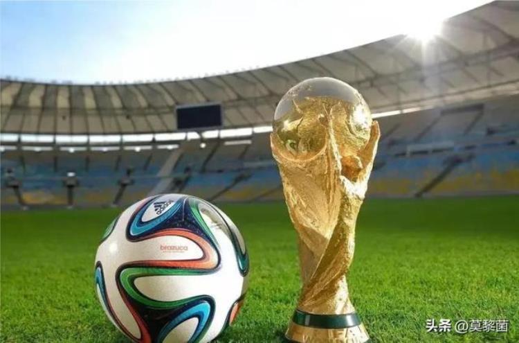 国足世界排名这么次中国有资格举办世界杯吗