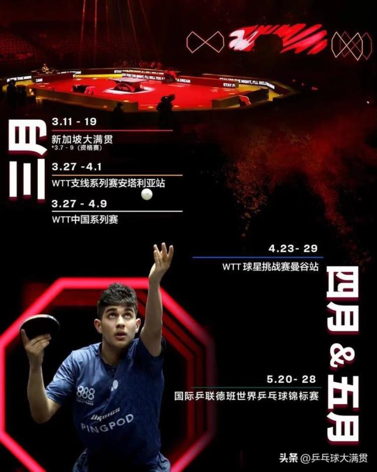 国际乒联积分排行榜,张本智和对国乒的战绩