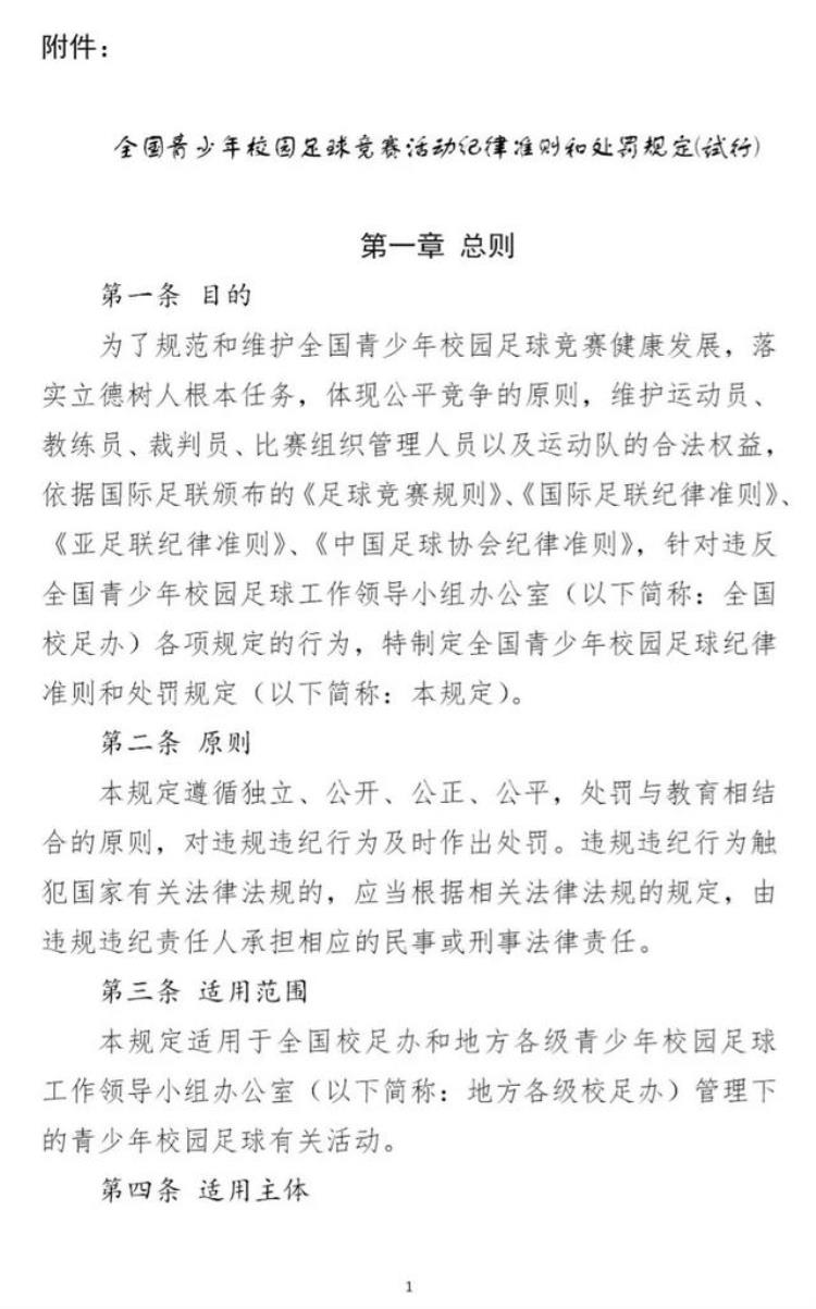 校园足球竞赛规章制度「全国青少年校园足球竞赛活动纪律准则和处罚规定试行发布」