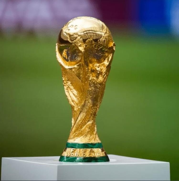 卡塔尔世界杯东道主是谁「卡塔尔世界杯开幕首场东道主对厄瓜多尔」
