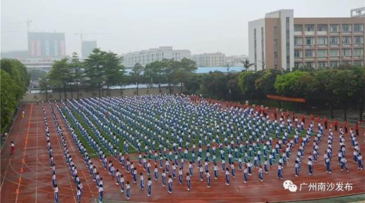 南沙区七大名校「南沙这两所学校上了省级排行榜39位教师被认定骨干」