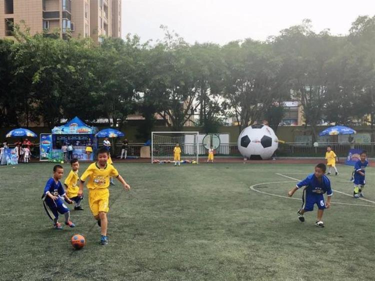 金牛教育自然教学法金科路小学带你体验别样劳动教育上一秒研墨下一秒种地