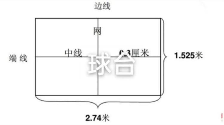 乒乓球基本功有哪些(乒乓球基本功练习)