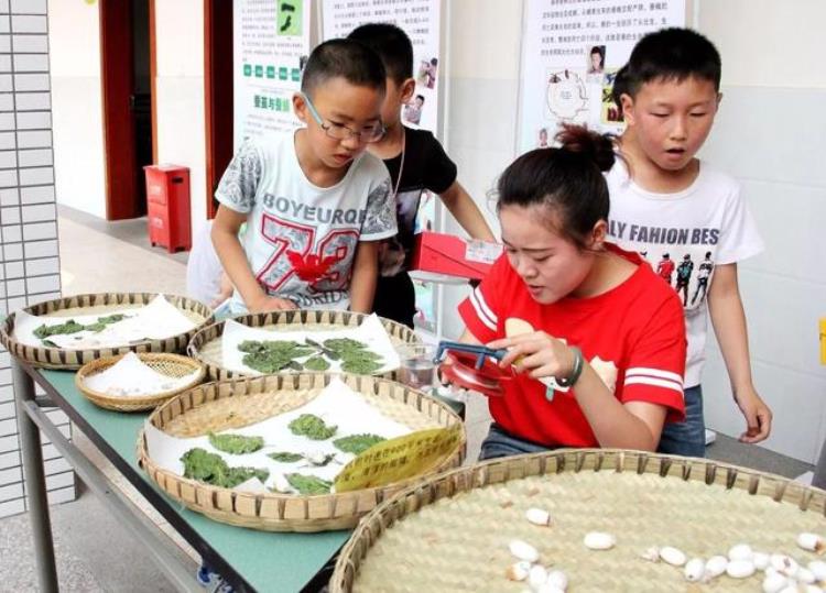 金牛教育自然教学法金科路小学带你体验别样劳动教育上一秒研墨下一秒种地