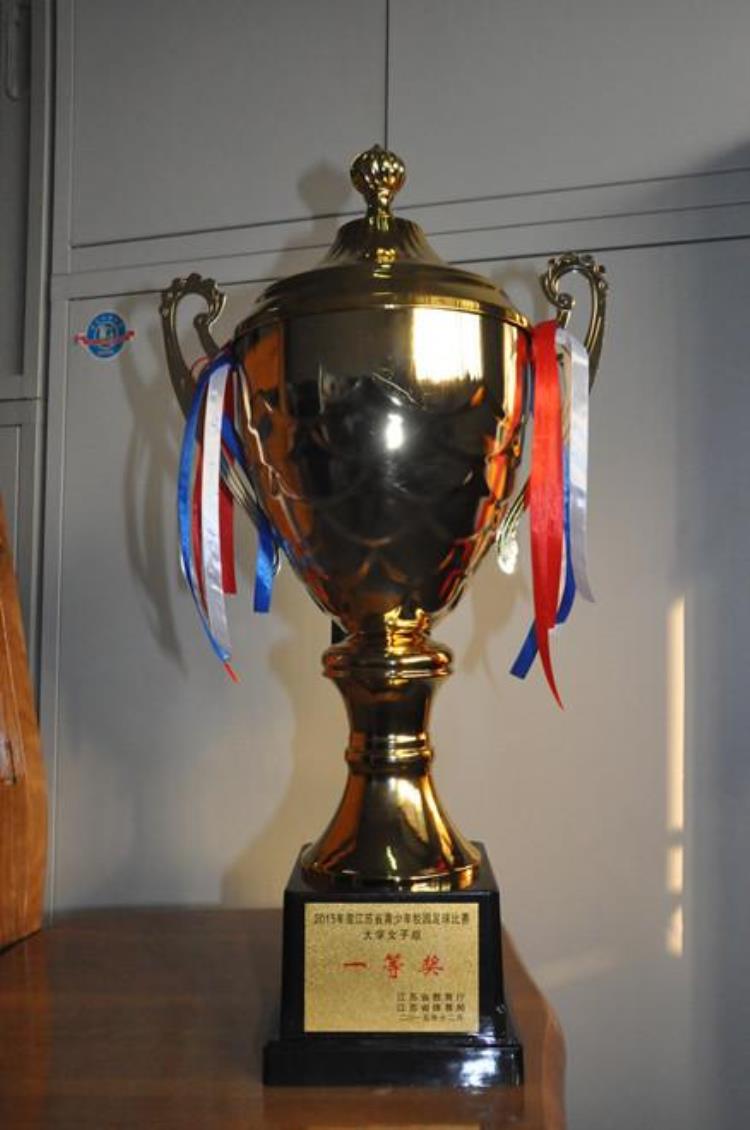 全国青少年校园足球联赛大学女子组「我校荣获江苏省青少年校园足球年度比赛大学女子组团体一等奖」