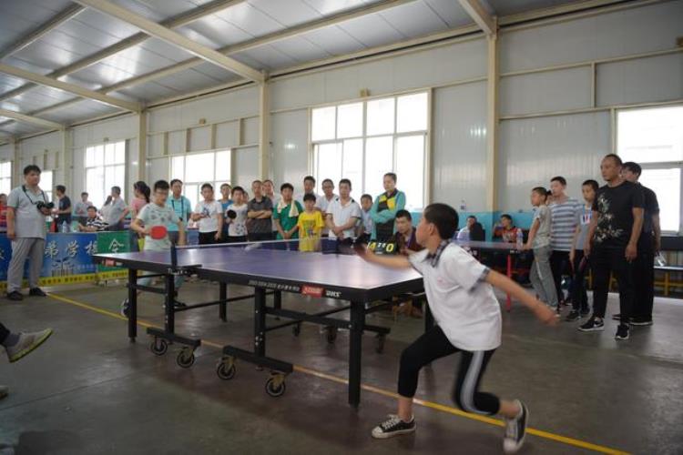 邯郸市乒乓球比赛「井陉县举行第三届校外教育杯小学生乒乓球比赛」