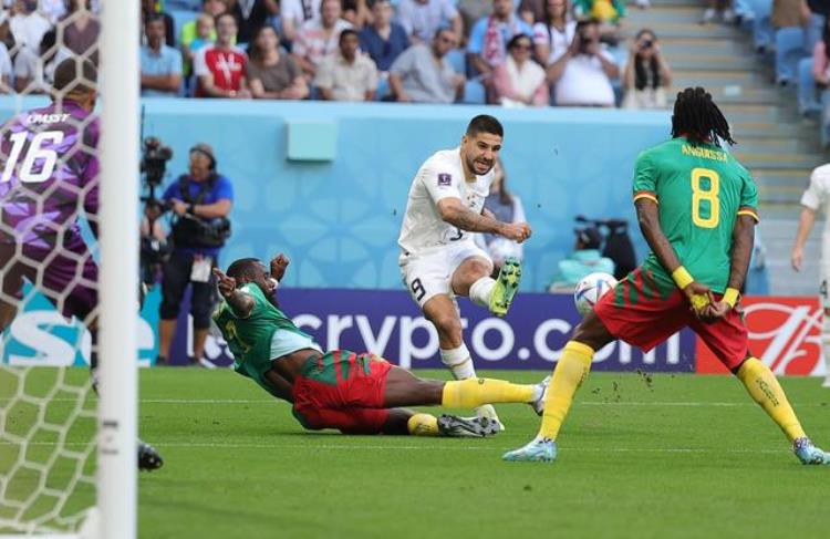 2014世界杯喀麦隆0:4克罗地亚「卡塔尔世界杯足球G组喀麦隆对阵塞尔维亚(4)」