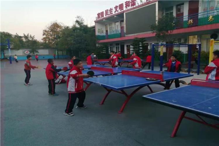 南阳市第三十七小学校乒乓球社团活动纪实