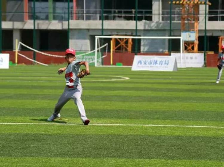 比赛丨2018全国青少年棒球公开赛共和县第一民族寄宿制小学成绩不俗