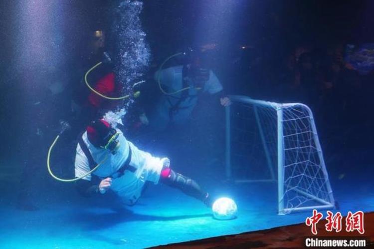 卡塔尔世界杯正酣南京海底世界上演趣味水下足球赛