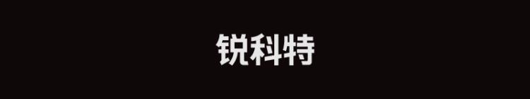 樊振东瑞典公开赛「樊振东决赛对手浑身爆点猜不透瑞典男乒这是又回来了国球汇」