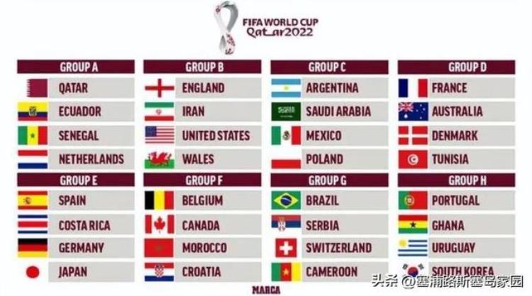 2022卡塔尔世界杯场地「2022卡塔尔世界杯每个村庄都有标准球场的塞浦路斯」
