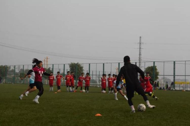 云南国足球员「扎根云南半世纪从16岁支边青年到师祖级足球教练」