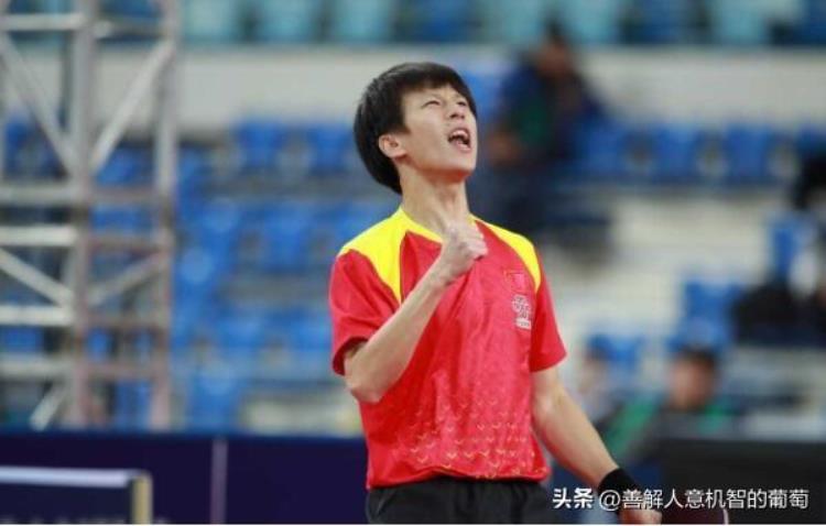 男乒国家排名,加入中国国籍的12位运动员