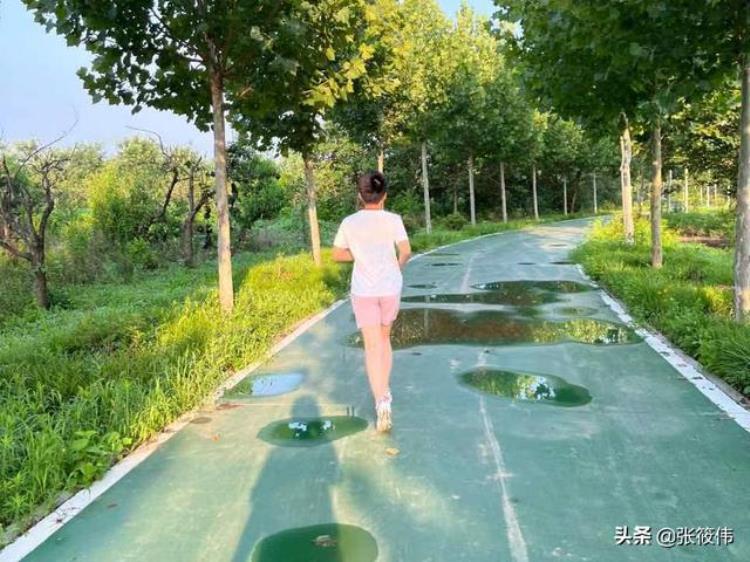衡水滨湖志臻少年的快乐暑假一丨活力一夏一起运动打卡