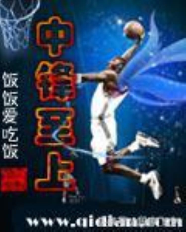 小说篮球高手「段家飞少力荐篮球竞技类网络小说让你在NBA休赛期不无聊」