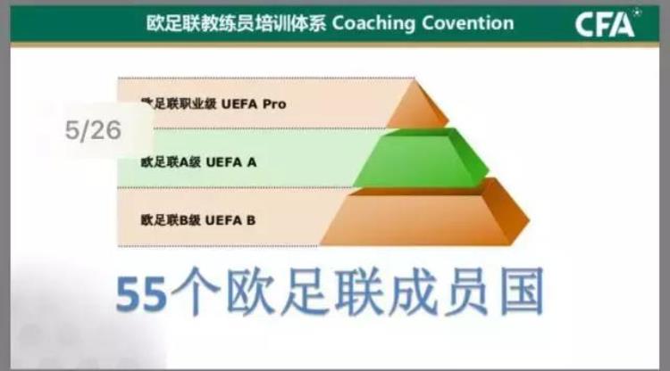中国国家足球队外籍教练,中国青训外籍教练