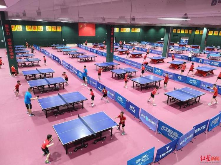 大运场馆惠民国家队乒乓球训练基地一年接待超10万人次