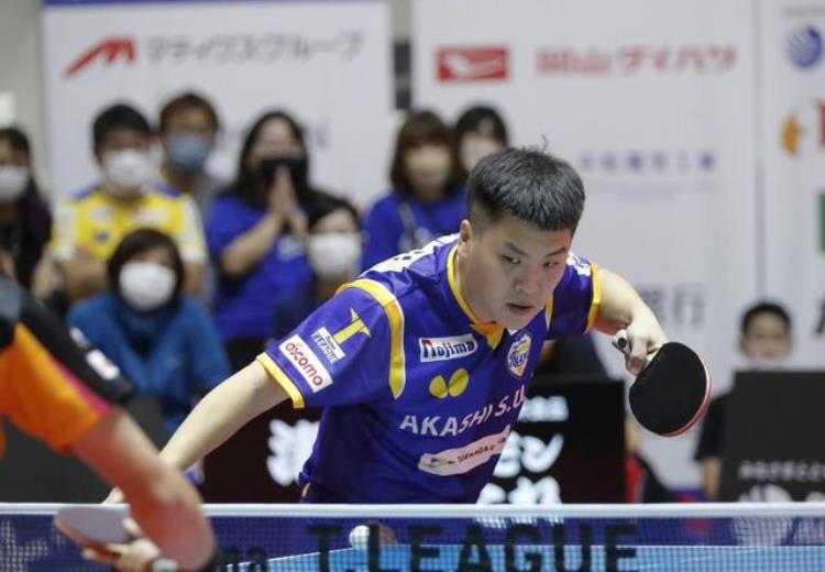 女乒决赛日本选手,日本乒乓球公开赛马龙郑荣植