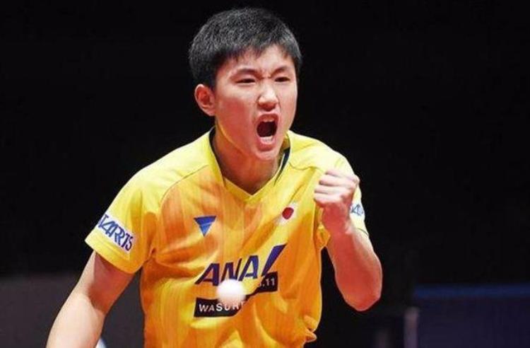 日本乒乓球队员排名,国乒地表最强12人男单决赛