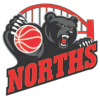 北方熊女篮队徽