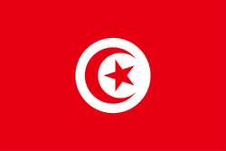 突尼斯女足队徽