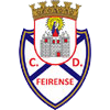 费伦斯U19队徽